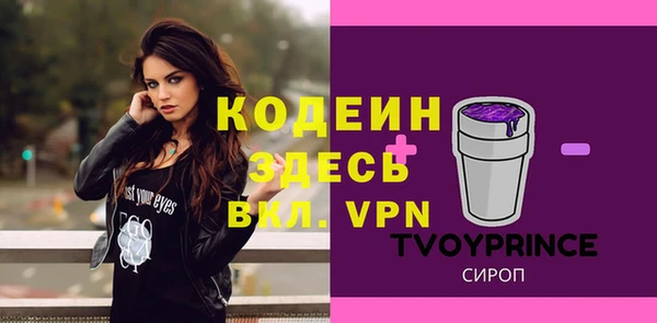 винт Абаза