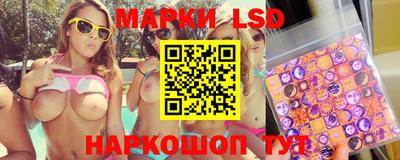 гидропоника Камышлов