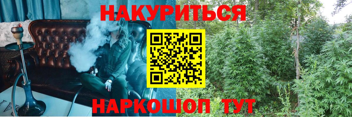 Канабис планчик Чита